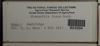 Image Associated With the Occurence